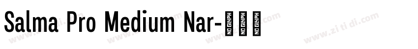 Salma Pro Medium Nar字体转换